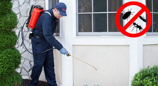 Kilimli Dezenfeksiyon böcek ilaçlama ve haşere kontrolü — ilaclama-tr.com